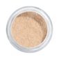 Website format JPG-409.05 Translucent Loose Powder Opened