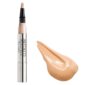 Website format JPG-497.19 Perfect Teint Concealer