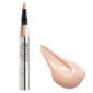 Website format JPG-497.5 Perfect Teint Concealer