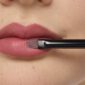 Website format JPG-60361_Lip-Brush-PQ_Application