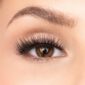 Website format JPG-651.62 3D Eyelash Person