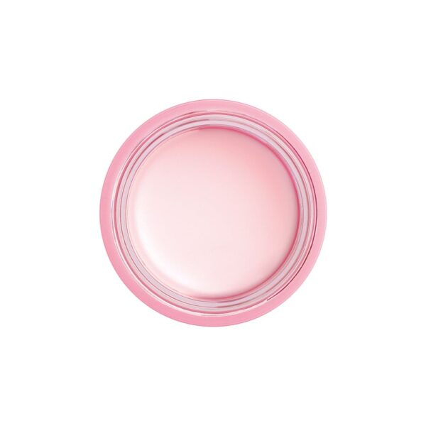 Website format JPG-63909 _Night & Day Mask_open_topside Website format JPG-63909 _Night & Day Mask_open_topside